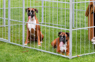 Hundegårde og hegn
