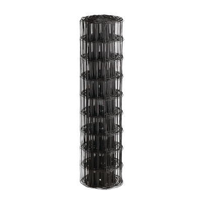 Havehegn PVC-fri sort, 10 x 10 cm, 60 cm x 20 m 