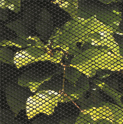 Insektnet sort plast, 1,9 x 1,9 mm 120 cm x 10 m